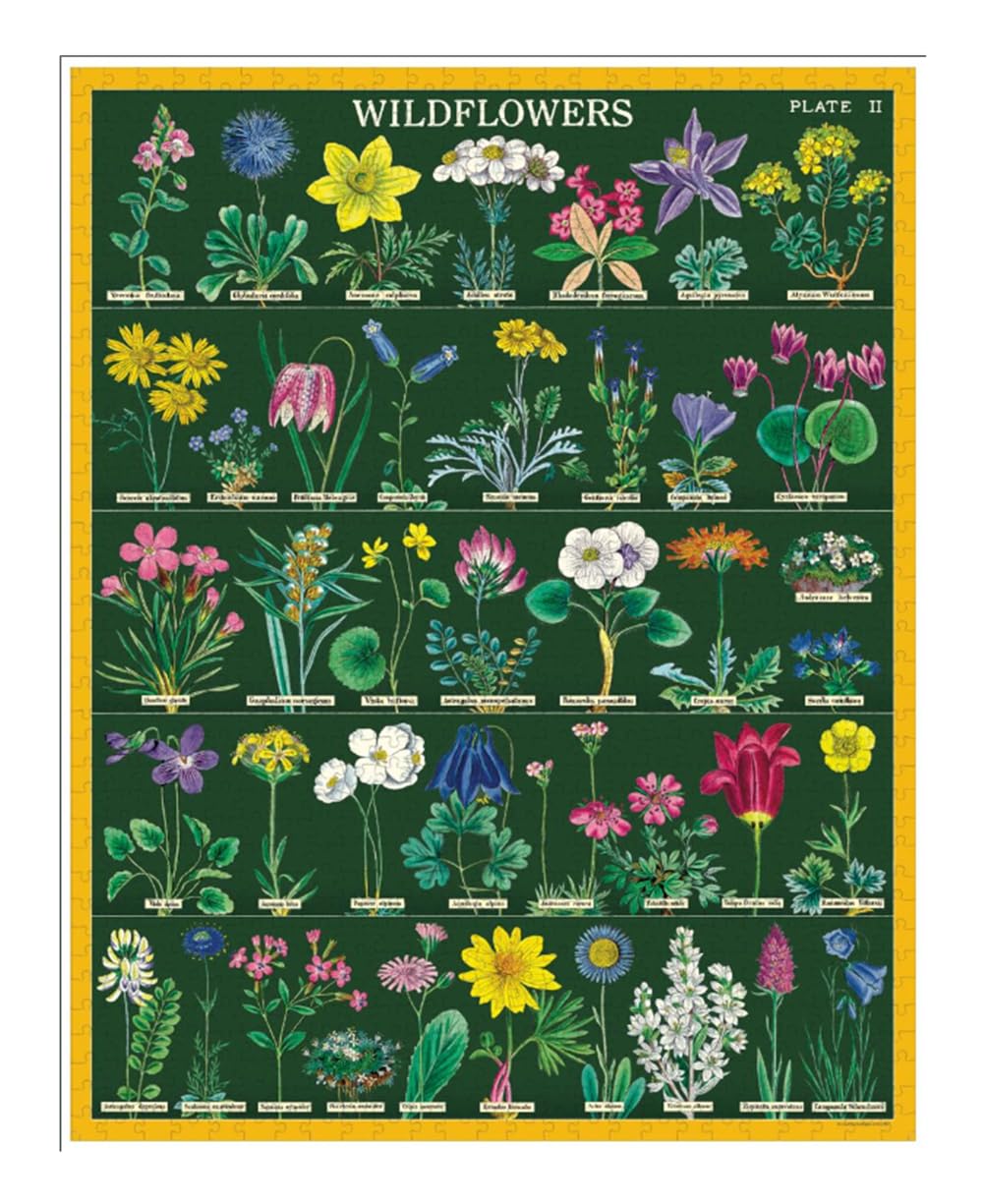 Cavallini & Co. ビンテージパズル Amazon.com: Cavallini & Co. Vintage Wildflowers 2 Puzzle- 1000